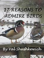 17 Reasons to Admire Birds