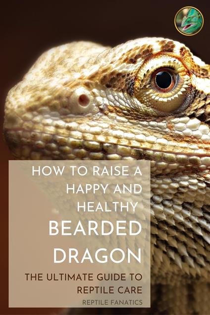 How to Raise a Happy and Healthy Bearded Dragon: The Ultimate Guide to Reptile Care