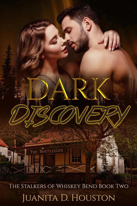 Dark Discovery