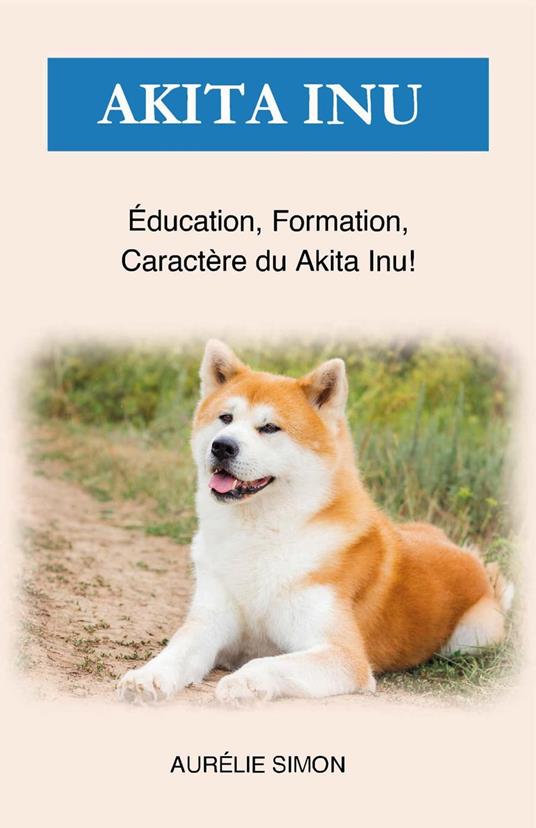 Akita Inu ducation Formation Caract re