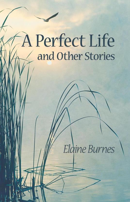 A Perfect Life and Other Stories