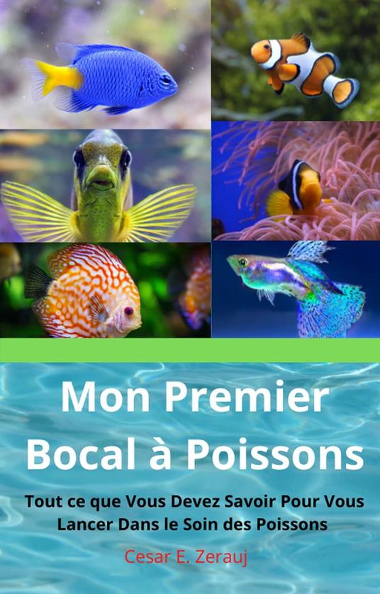 Mon Premier Bocal à Poissons Tout ce que Vous Devez Savoir Pour Vous Lancer Dans le Soin des Poissons