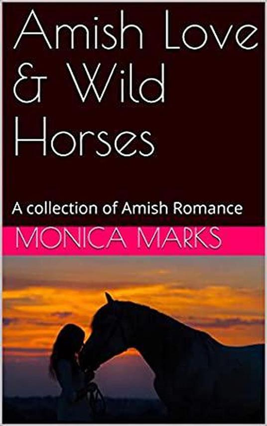 Amish Love & Wild Horses