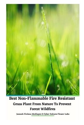 Best Non-Flammable Fire Resistant Grass Plant From Nature to Prevent Forest Wildfires - Jannah Firdaus Mediapro - cover