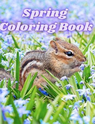 Spring Coloring Book: Springtime Adult Coloring Pages with Butterflies, Wildflowers, Birds and Easy - Luna B Helle - cover