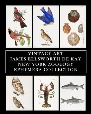 Vintage Art: James Ellsworth De Kay: New York Zoology: Ephemera Collection - Vintage Revisited Press - cover