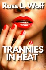 Trannies In Heat