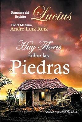 Hay Flores sobre las Piedras - Andre Luiz Ruiz,J Thomas Msc Saldias,Por El Espiritu Lucius - cover