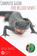 Complete Guide Fire Bellied Newts