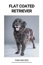 Flat Coated Retriever