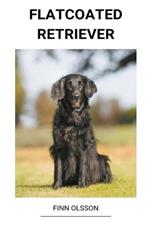 Flatcoated Retriever