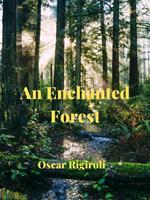 An Enchanted Forest