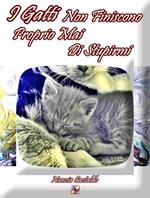 I Gatti Non Finiscono Proprio Mai Di Stupirmi