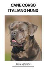 Cane Corso Italiano Hund