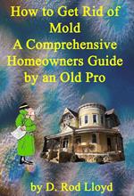 How to Get Rid of Mold A Comprehensive Homeowners Guide