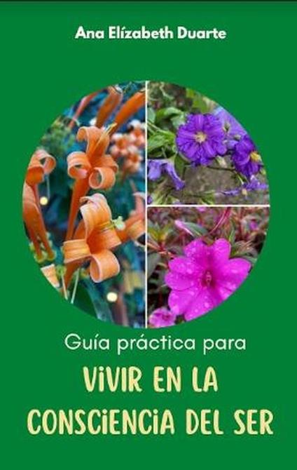 Guía práctica para vivir en la Consciencia del Ser