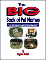 The Big Book of Pet Names ~ More than 10,000 Pet Names! The Most Complete Guide to Pet Names & Meanings