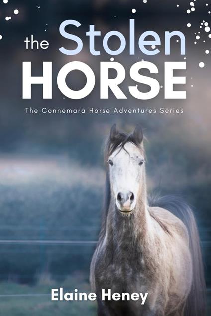 The Stolen Horse - Book 4 in the Connemara Horse Adventure Series for Kids - Elaine Heney - ebook