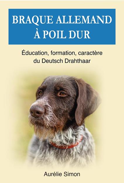 Braque allemand à poil dur : Education, Formation, Caractère du Deutsch Drathaar