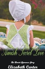 Amish Secret Love