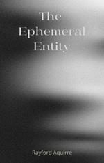 The Ephemeral Entity