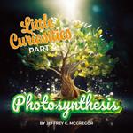 Little Curiosities(Part 4): Photosynthesis