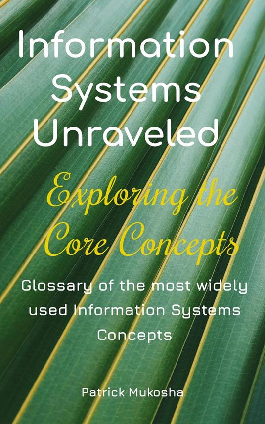 “Information Systems Unraveled: Exploring the Core Concepts”