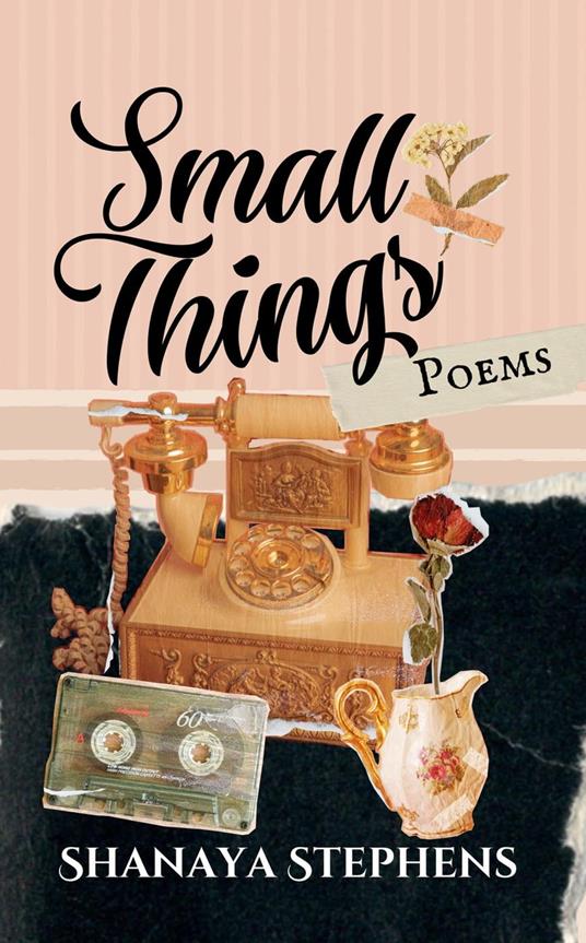 Small Things - Shanaya Stephens - ebook