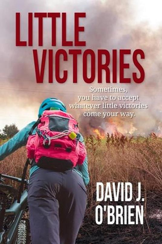 Little Victories - David J. O'Brien - ebook