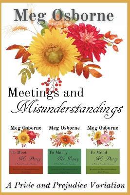 Meetings and Misunderstandings - Meg Osborne - cover