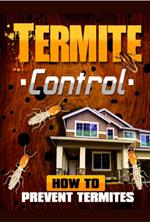 Termite Control