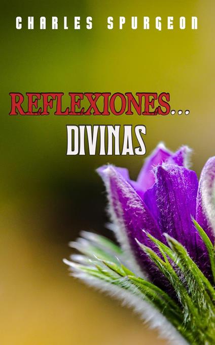 Reflexiones Divinas