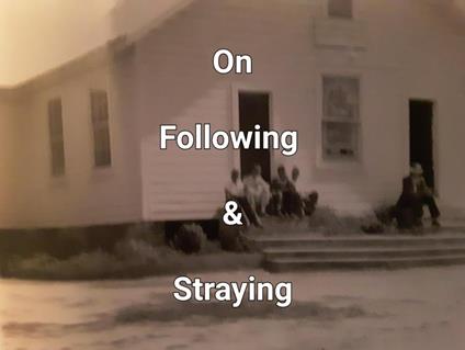 On Following & Straying