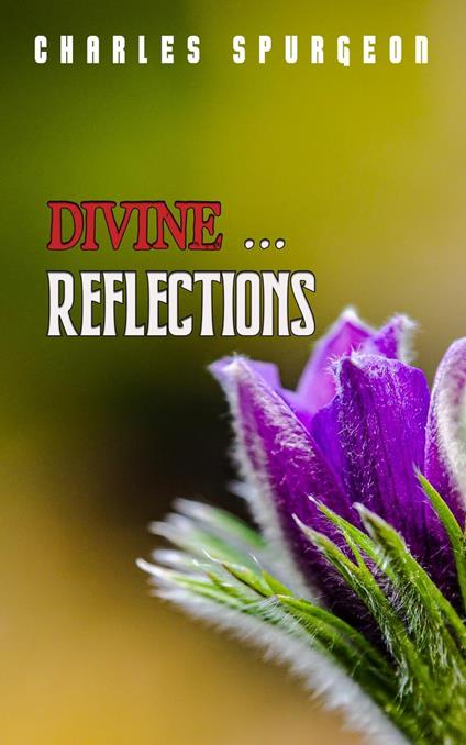 Divine Reflections