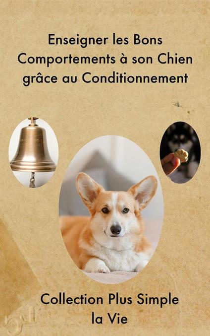 Enseigner les Bons Comportements à son Chien grâce au Conditionnement