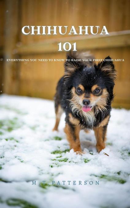 Chihuahua 101: Everything You Need to Know to Raise Your First Chihuahua