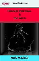 Princess Pink Rose & the Witch