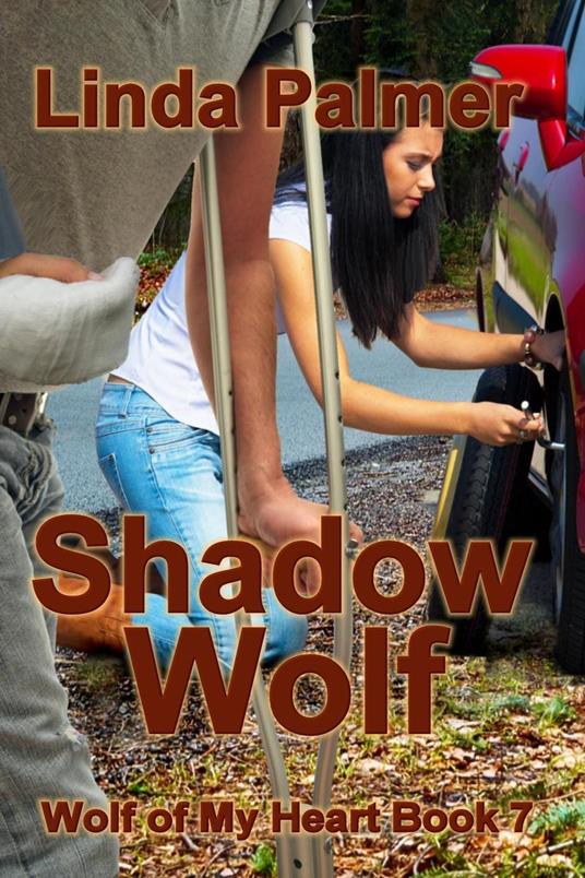 Shadow Wolf - Linda Palmer - ebook