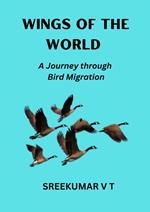 Wings of the World: A Journey through Bird Migration