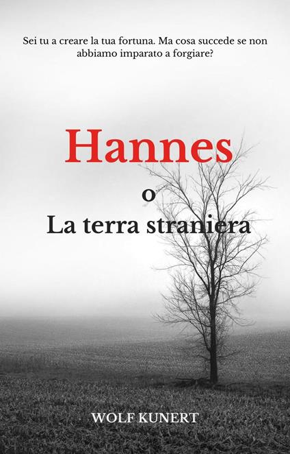 Hannes o La terra straniera - Wolf Kunert - ebook