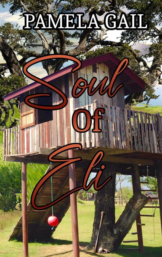 Soul of Eli - Pamela Gail - ebook