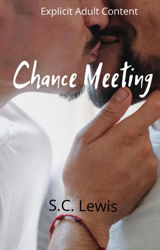 Chance Meeting