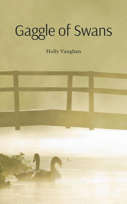 Gaggle of Swans - Holly Vaughan - ebook