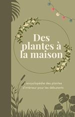 Des plantes à la maison