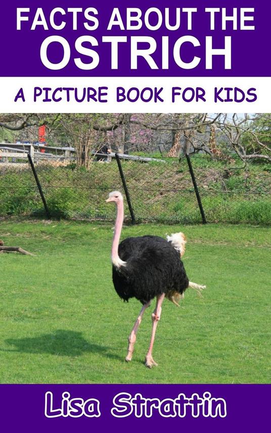Facts About the Ostrich - Lisa Strattin - ebook