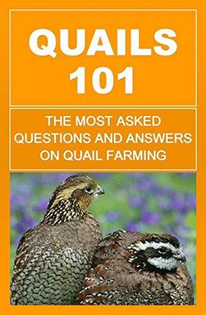 Quails 101: The Most Asked Questions And Answers On Quail Farming