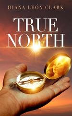 True North