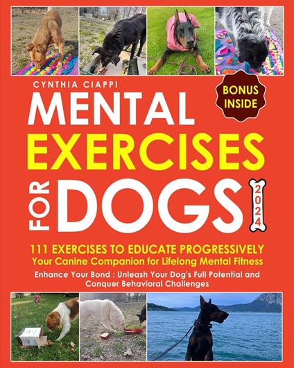 Mental Exercises For Dogs 2024