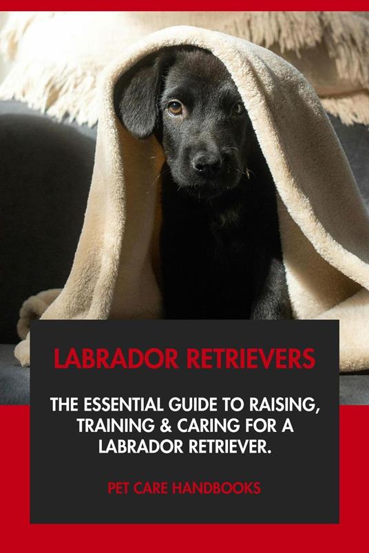 Labrador Retrievers: The Essential Guide to Raising, Training & Caring for A Labrador Retriever.