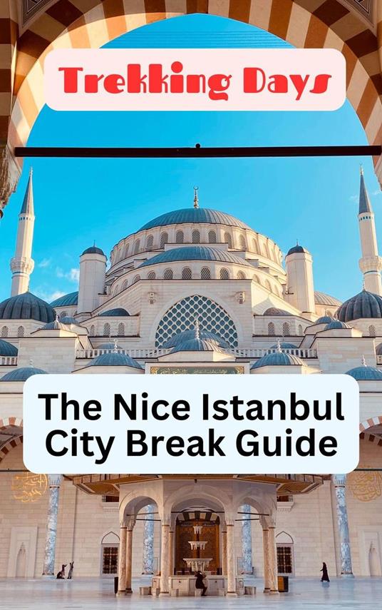 The Nice Istanbul City Break Guide